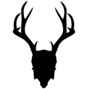 recent-product img